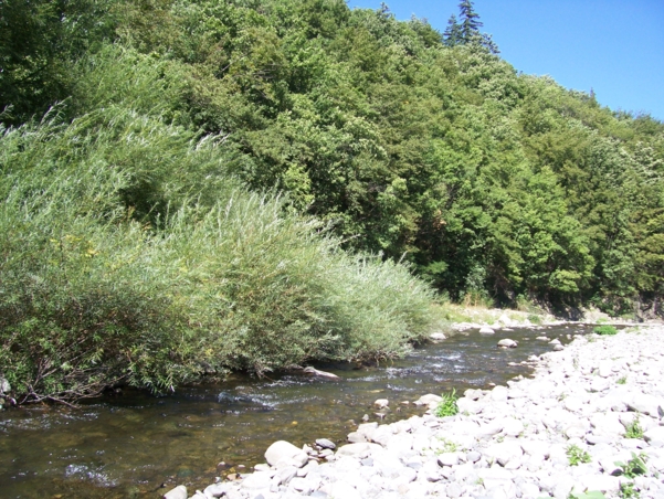  Image name: Fiume20.jpg 
 width: 601 pixel 
 height: 452 pixel 
 Size: 331637 bytes 
 Click to enlarge 